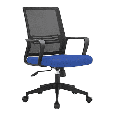 Bedelia Ergonomic chair