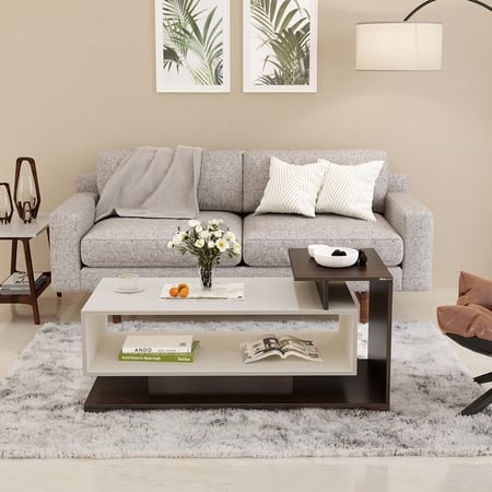 BLUEWUD Declove Engineered Wood Coffee Center Sofa Tea/Teapoy Console Table for Sofa Set Living Room Home Hall (Wenge & White)