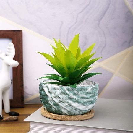 Artificial Aloe Vera Plant In A Patterned Ceramic Pot With A Wooden Plate