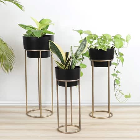 Pipe Planter With Stand Set Of 3 In Black Colour
