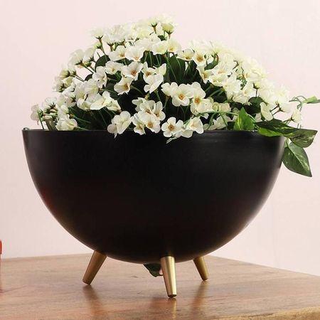 Madyson Planter