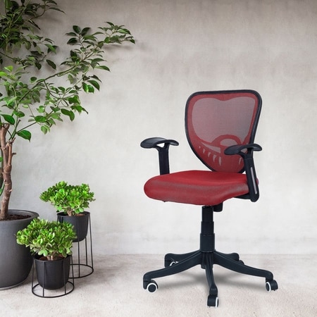 Odrione Low Back Ergonomic Chair in Red Colour