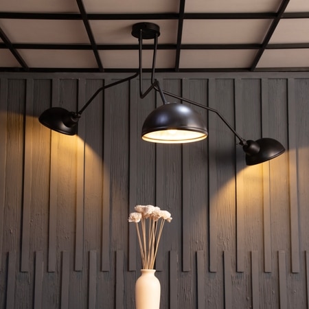 Rotating Arm Chandelier By Shoppeefry