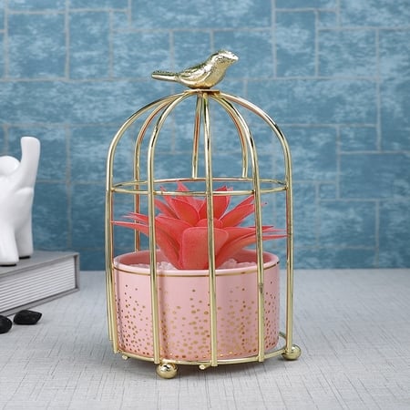 Succulent Plant In Ceramic Pot With Attractive Bird Cage