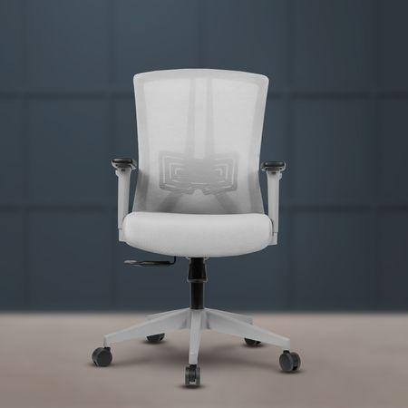 Regalia Mid Back Mesh Office Chair in Grey Colour