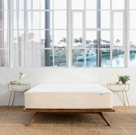 Springtek Organic Waterproof Mattress Protector with Elastic Strap 72x36 in