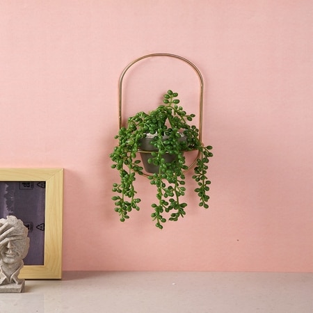 Arched Elegance Wall Planter