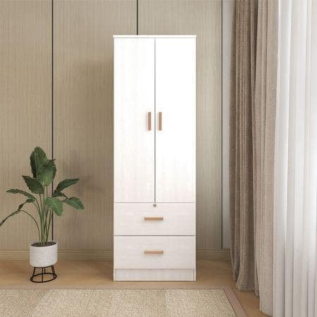 Ren 2 Door Engineered Wood Wardrobe in Silver Oak Finish