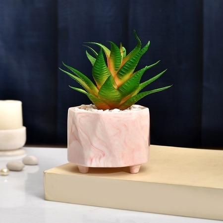 Citrus Delight Artificial Succulent With Pink Planter