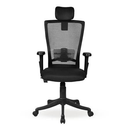 Werner Study Chair in Black Colour