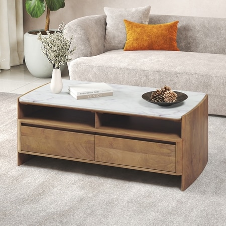 Tavo Solid Wood and Banswara Coffee Table In Golden ash Finish