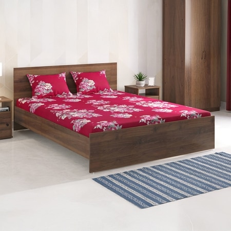 Sophia Bedsheets- Single