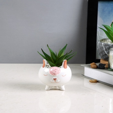 Adorable Piglet Planter With Green Aloe