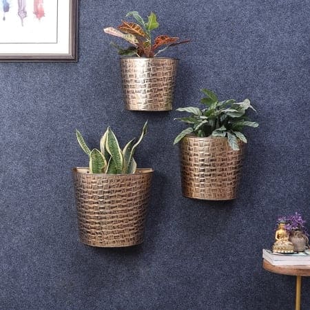 Hammered Wall Planter Set Of 3 By Amaya Decors In Gold Colour