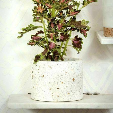 Brenda White Marble Planter