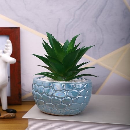 Attractive Aloe Vera Plant With Blue Pebble Patterned Design Ceramic Pot