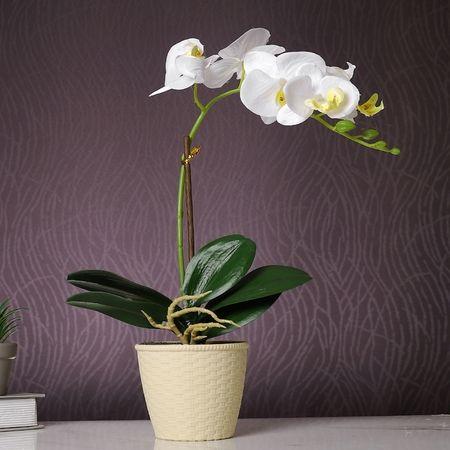 Beige 1 Pieces Orchid Artificial Plant With Pot