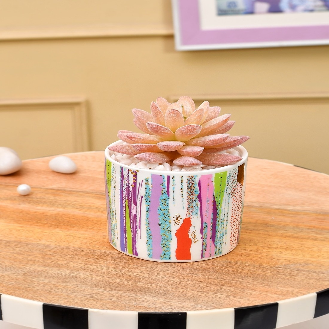 Sucullent Artificial Plant With Vertical Multicolored Stripes Along With Pot