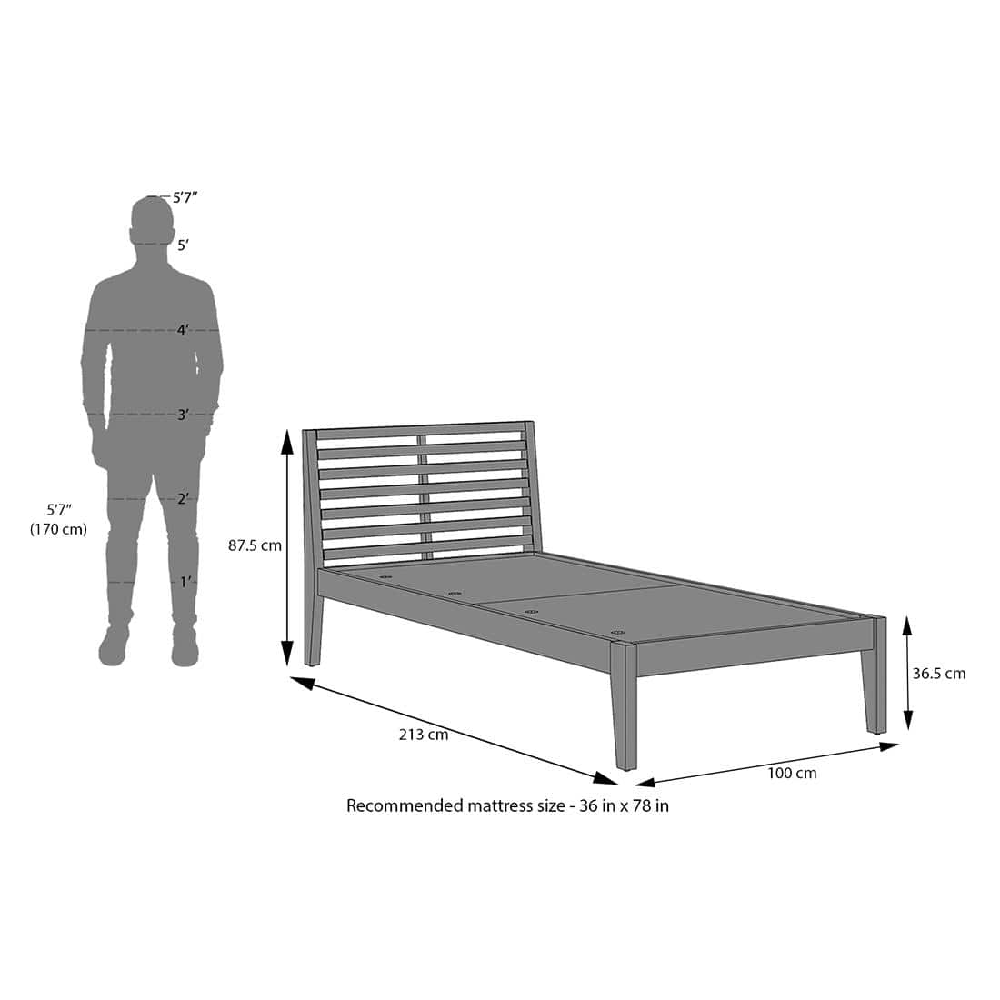Elwyn Nonstorage Single Bed Finish Danish Walnut