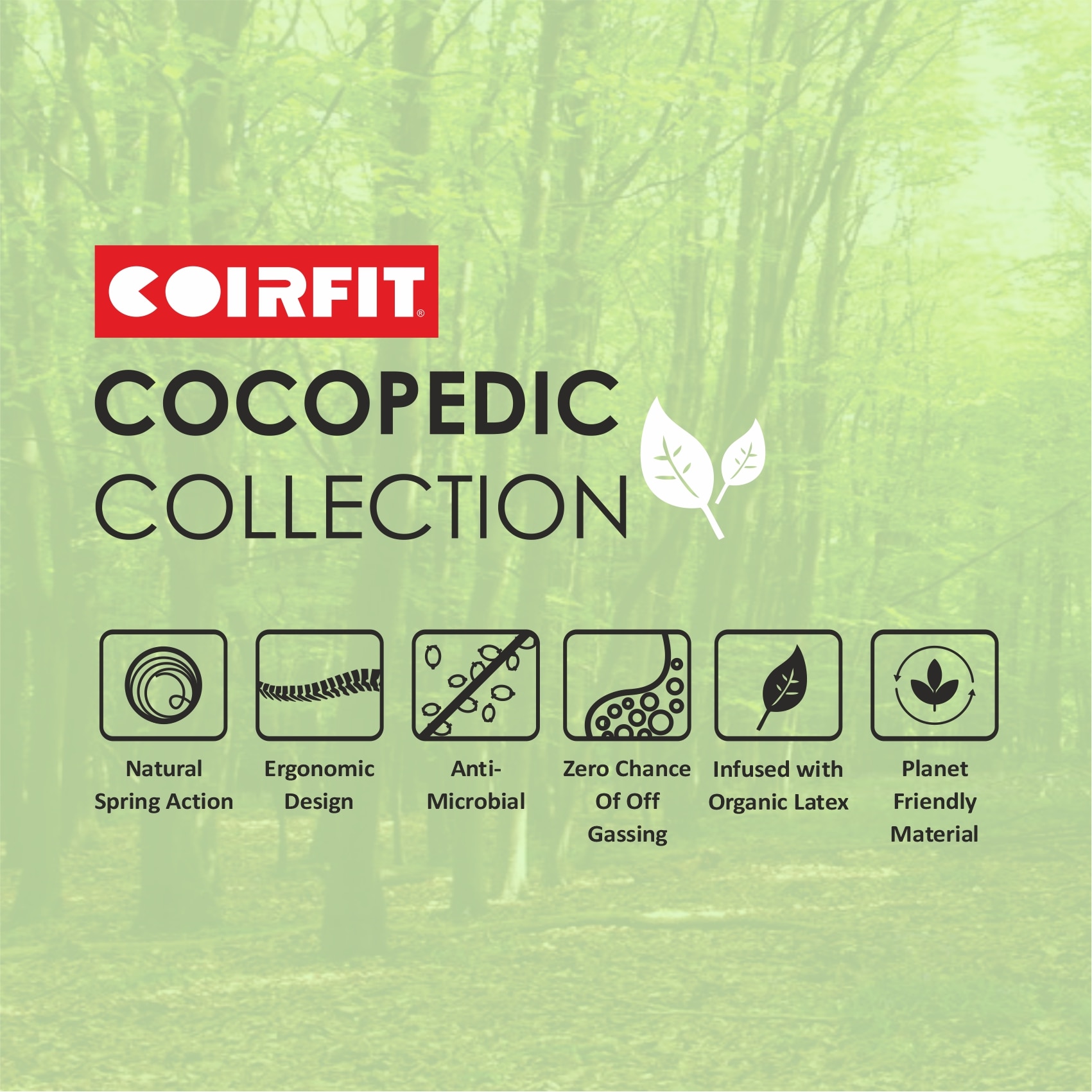 Day Dream with 36 YEARS OF TRUST 5 Inch Queen Size Coir Foam Mattress(78X60 Inches), Double-Sided PU Foam Quilt  Durable & Lightweight