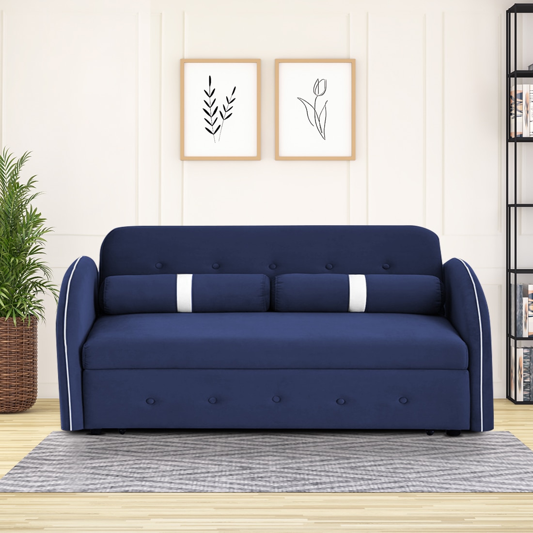 Jayen 3 Pull Out Sofa Cum Bed In Navy Blue Colour