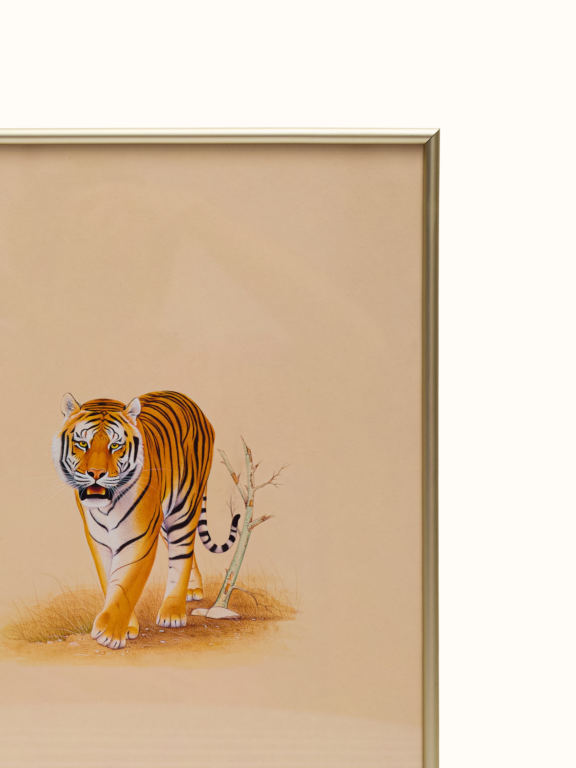 Tiger Miniature Painting