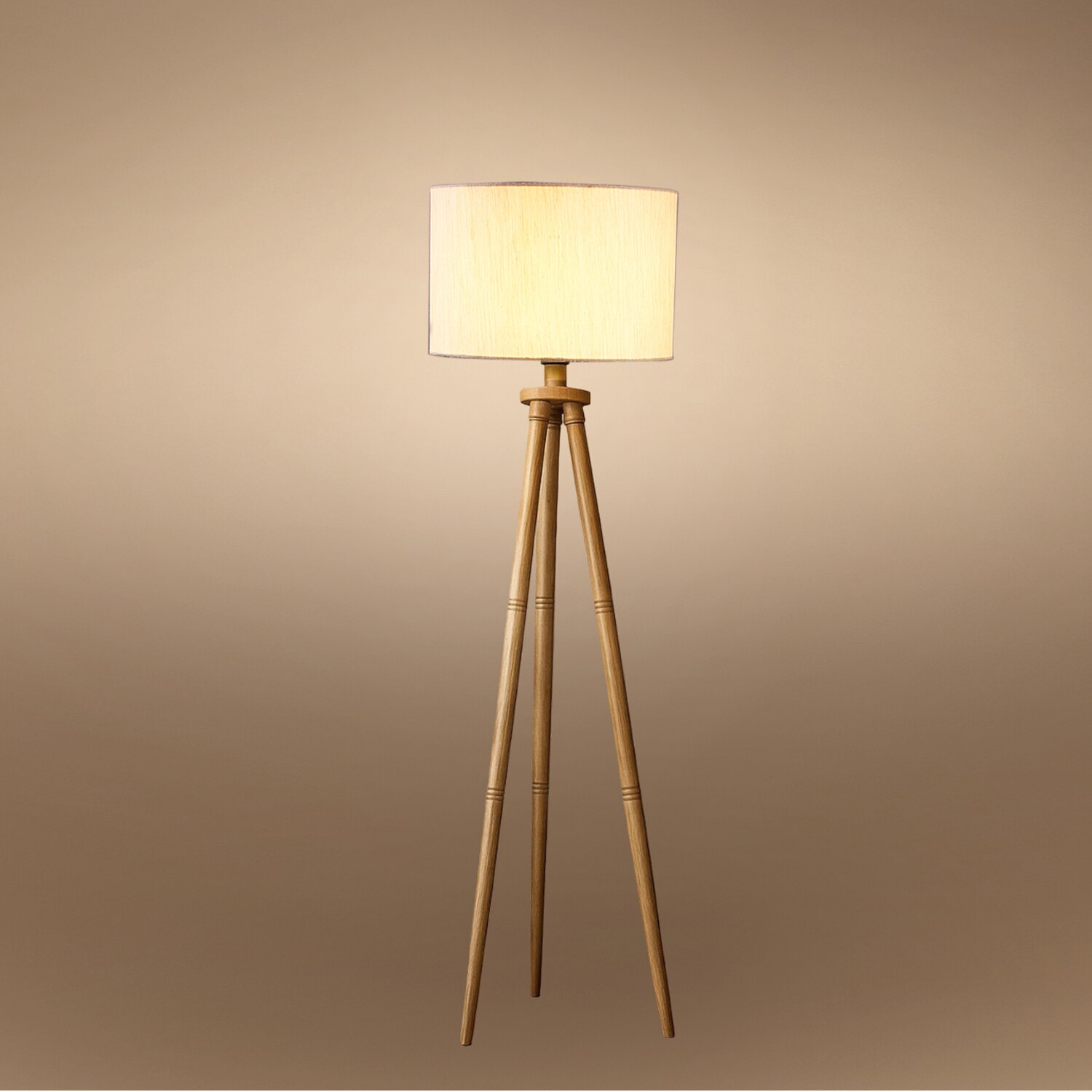 Devansh Tripod Floor Lamp