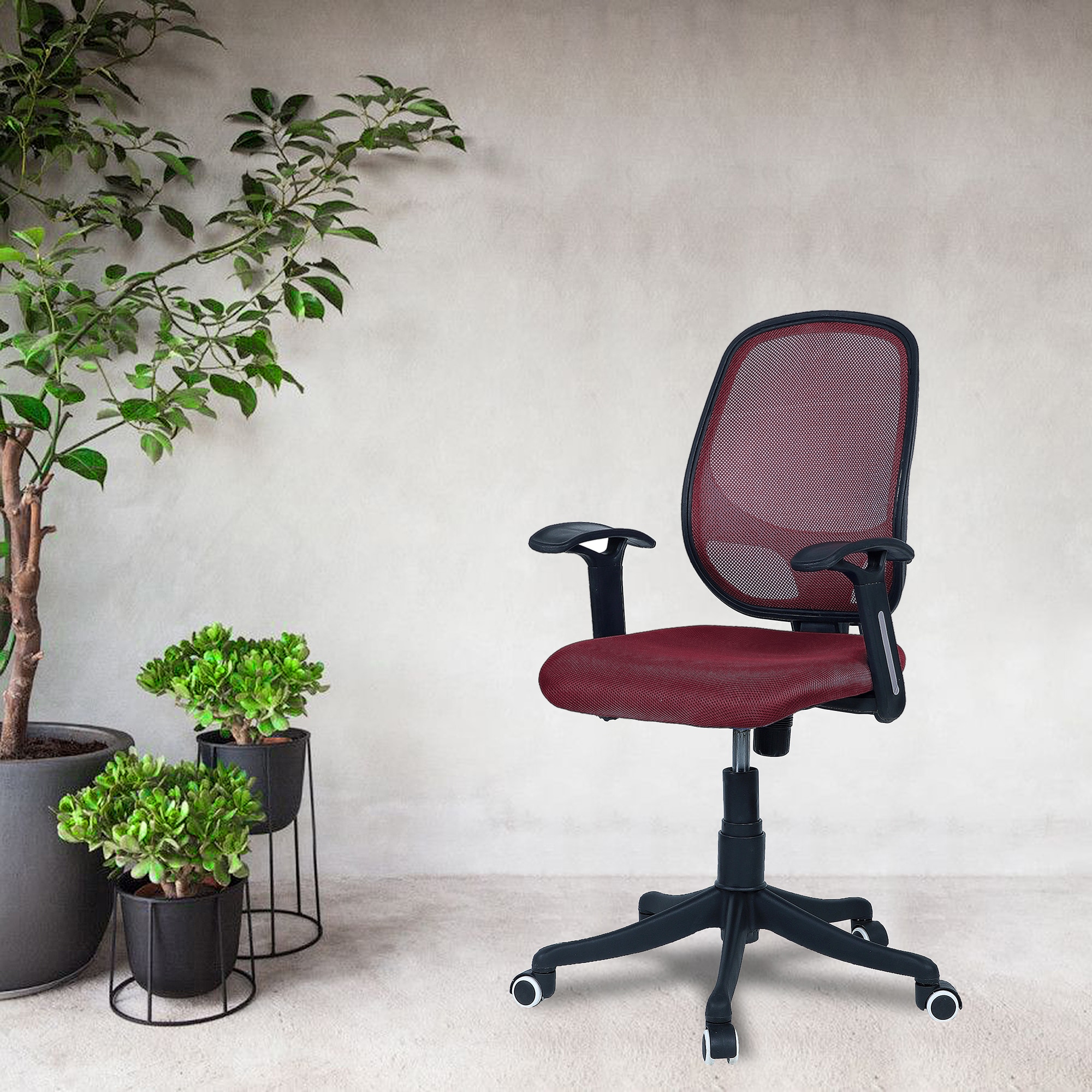 Goolda Low Back Ergonomic Chair in Maroon Colour