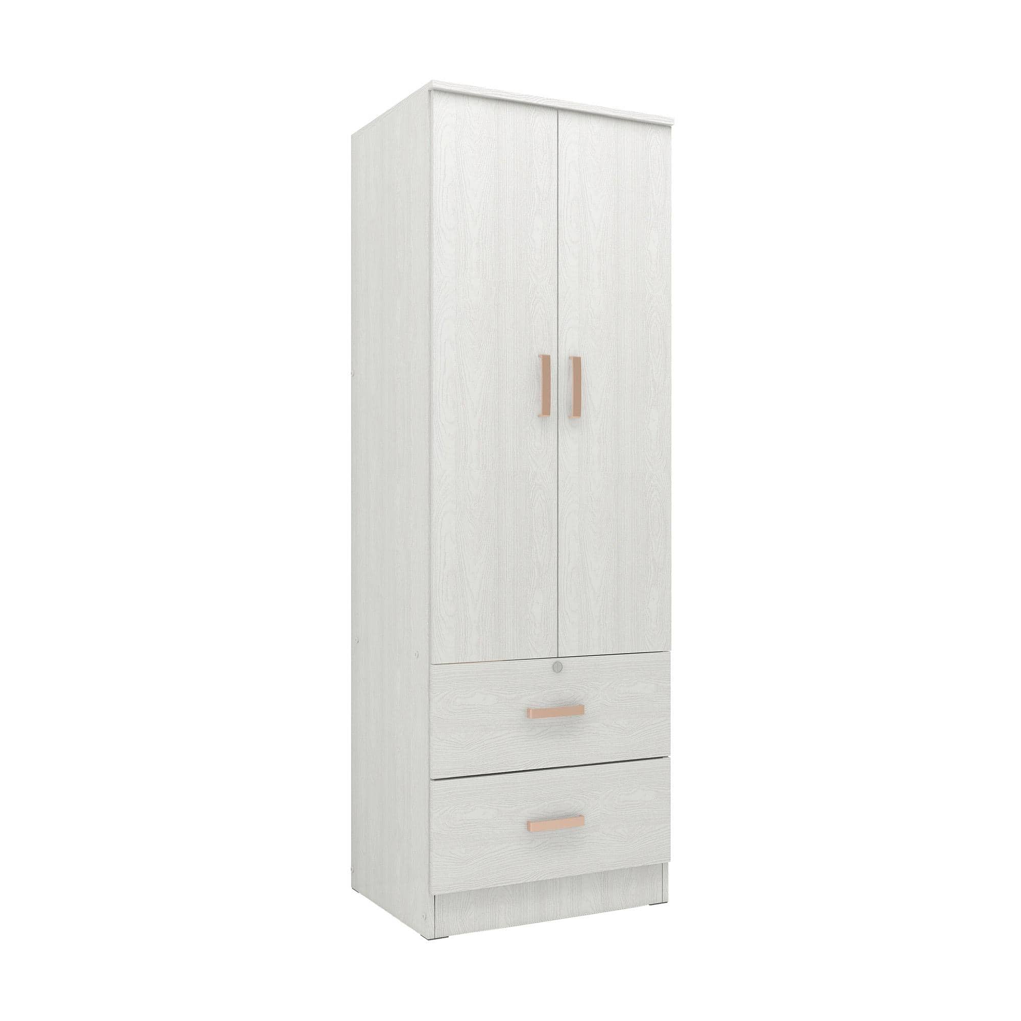 Ren 2 Door Engineered Wood Wardrobe in Silver Oak Finish