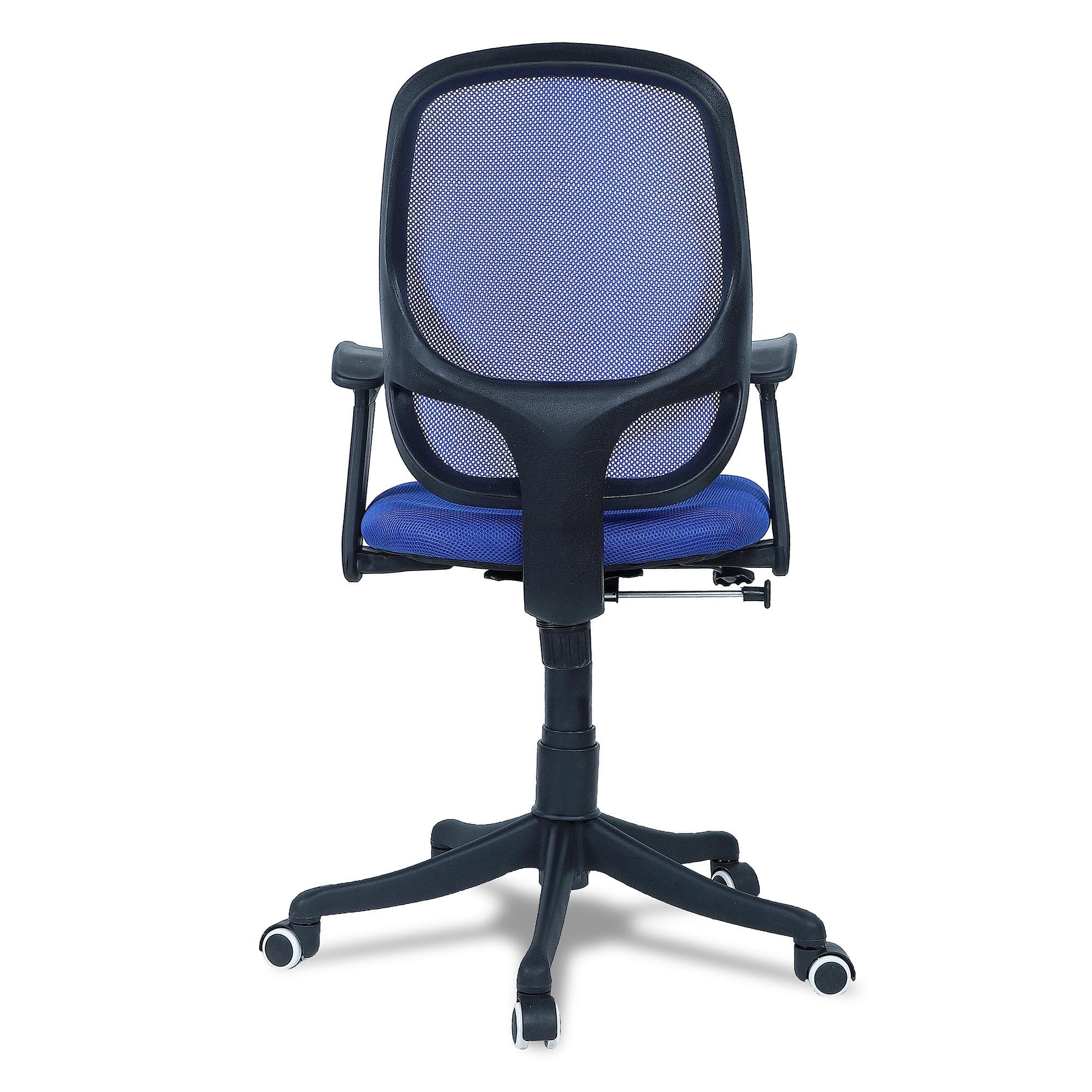 Goolda Low Back Ergonomic Chair in Blue Colour