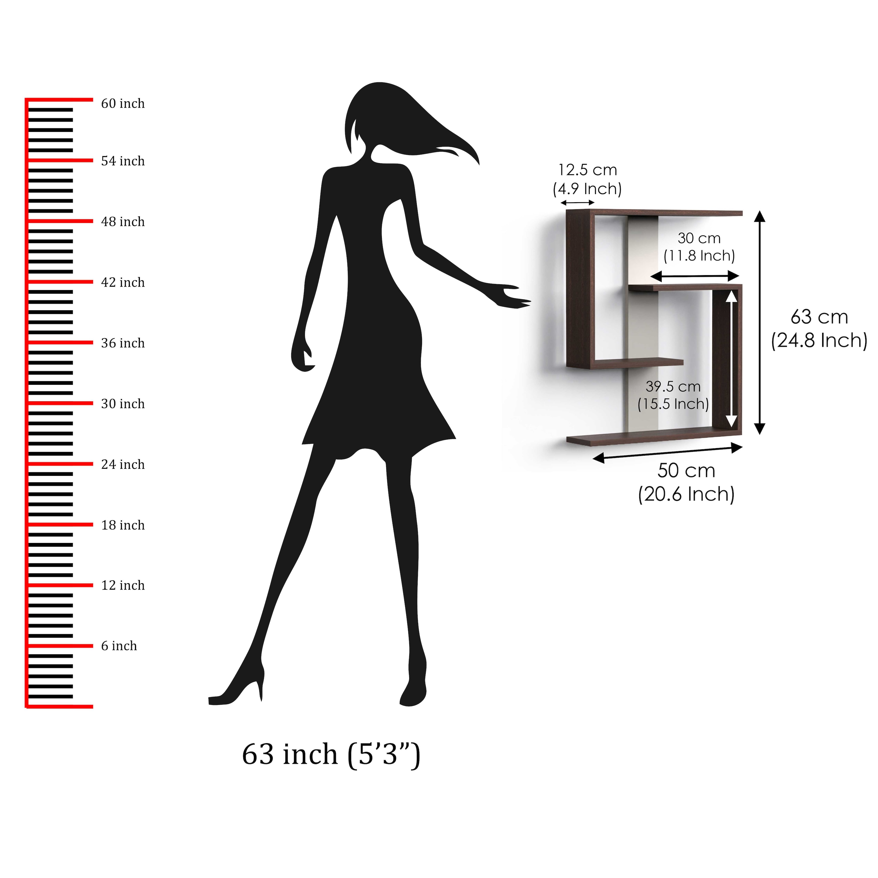 BLUEWUD Easton Engineered Wood Wall Shelf, Display Rack, 3 Shelves (Wenge & White)…