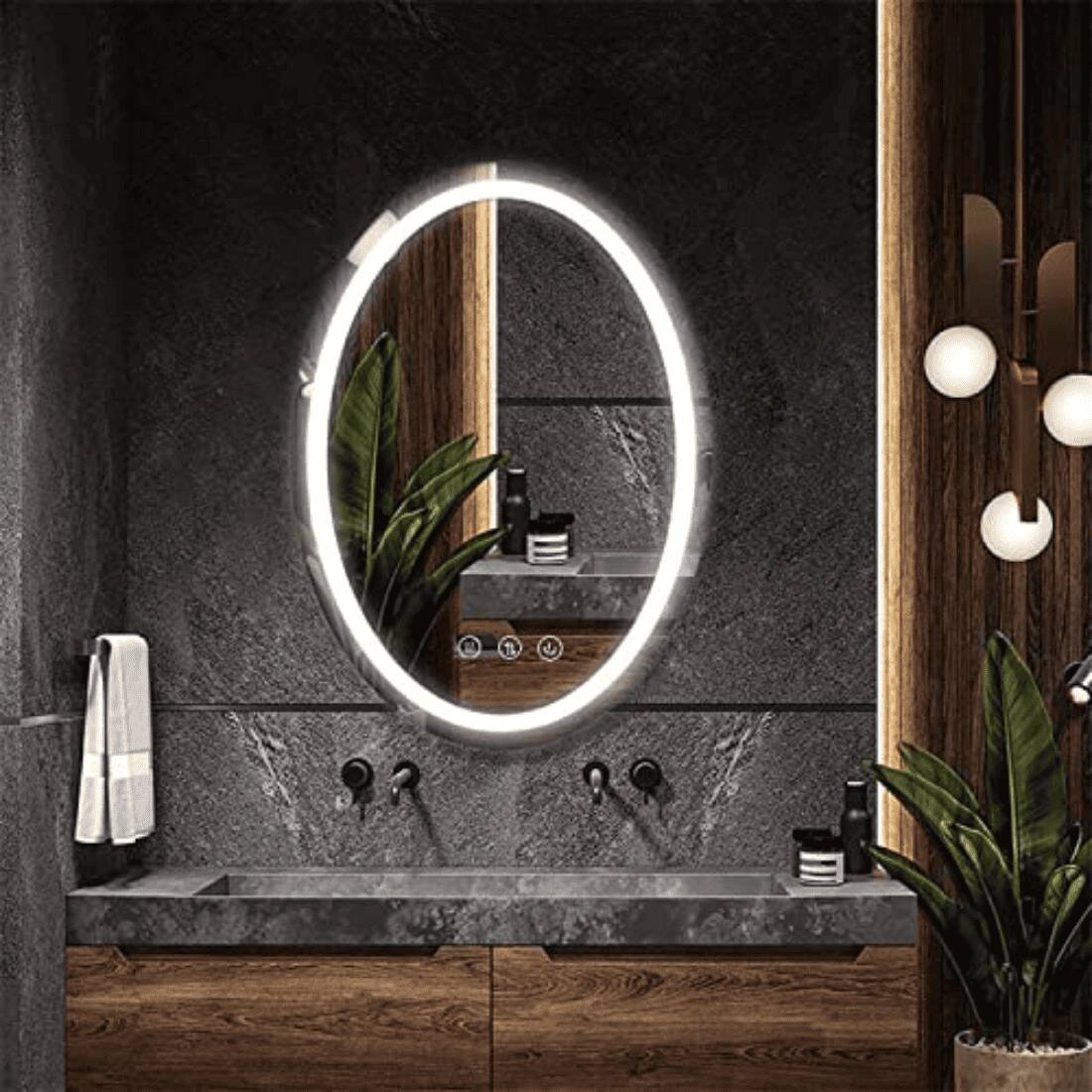 Oval Shape Lighted LED Mirror Modern  Vanity Mirror