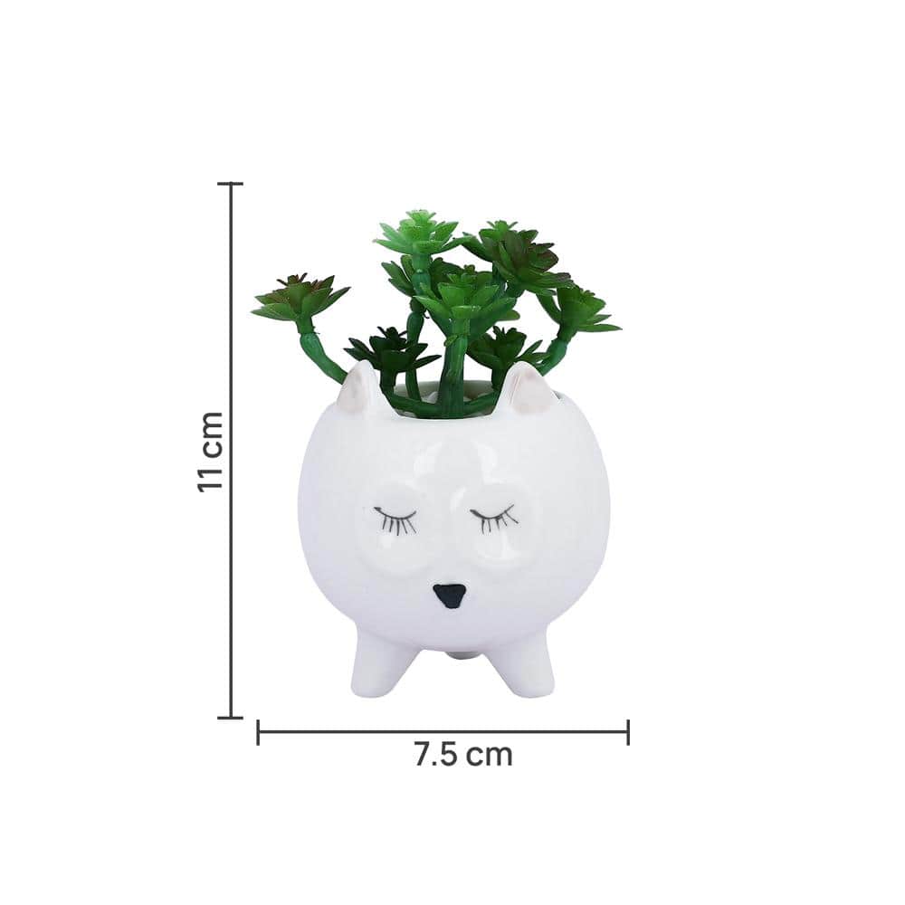 White 1 Pieces Succulent Artificial Plant With Pot