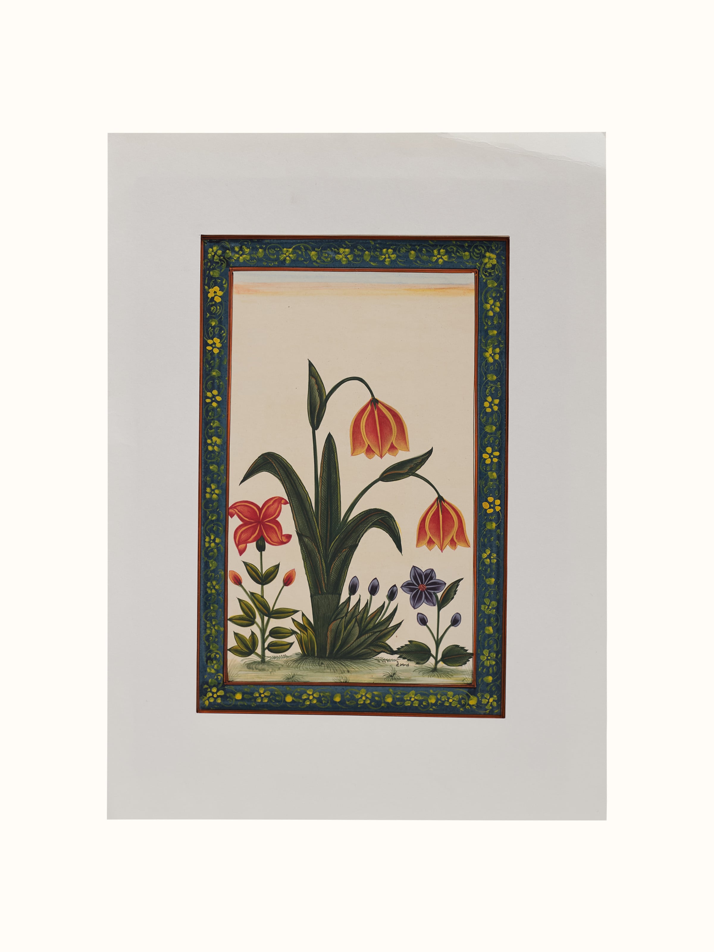 Tulip Floral Boarder Miniature Painting