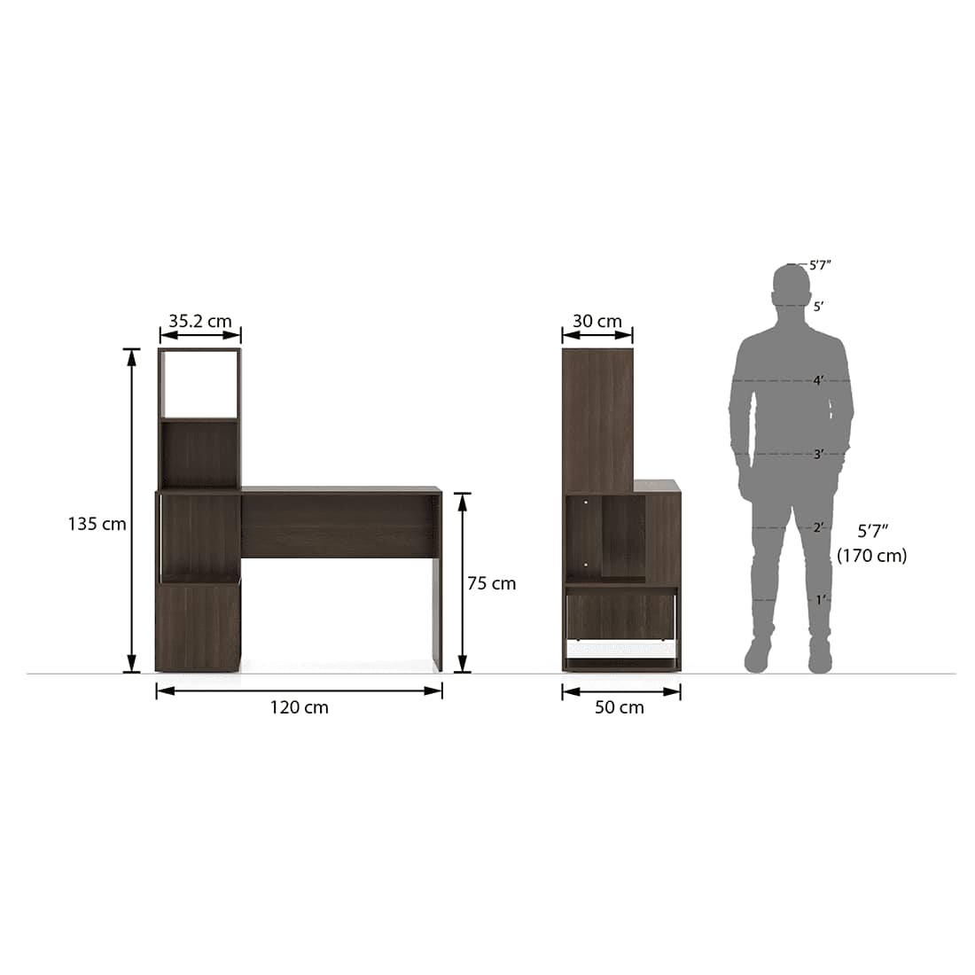 Carl Engineered Wood Study Table in Deep Oak Finish