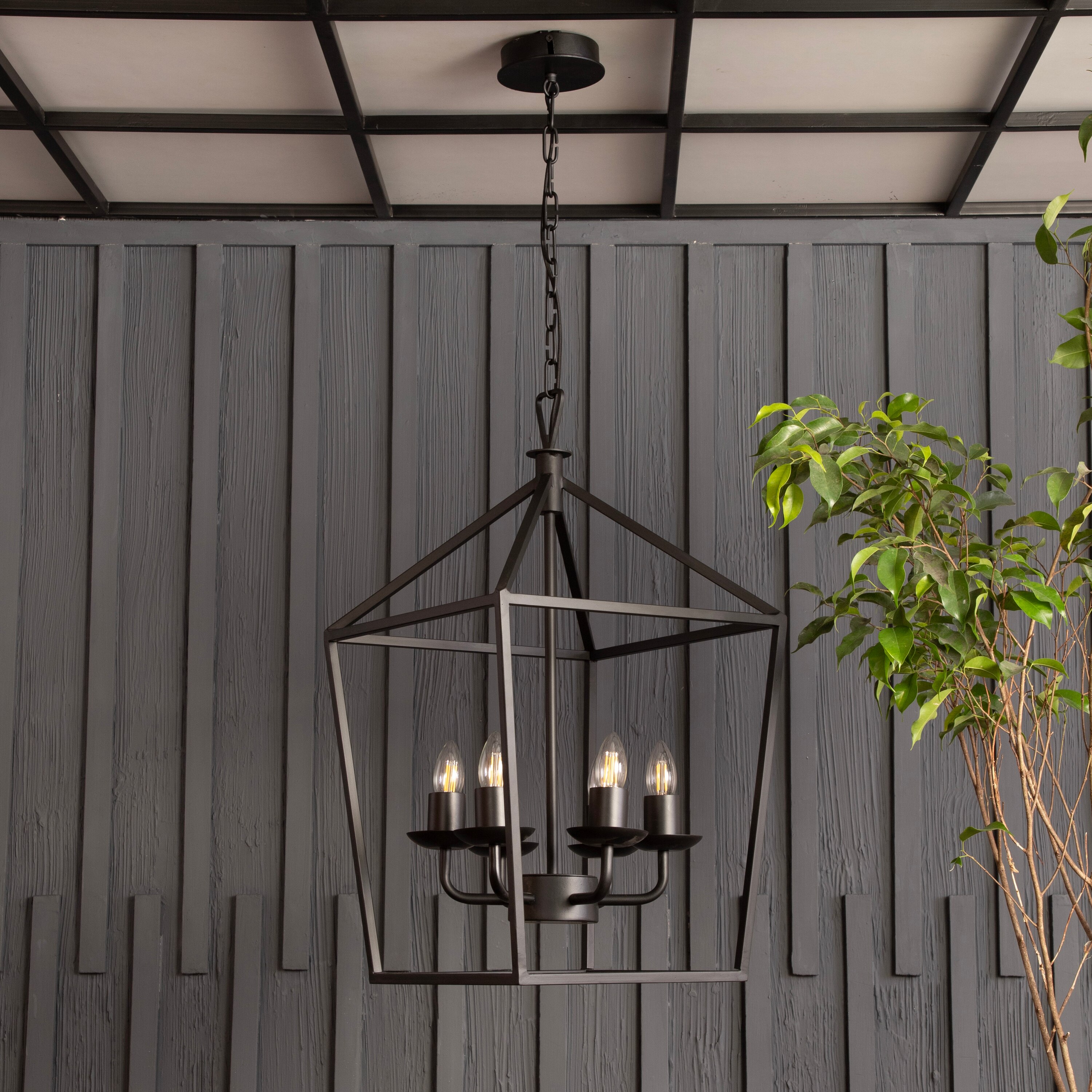 Velsa 6Lt Chandelier By Shoppeefry