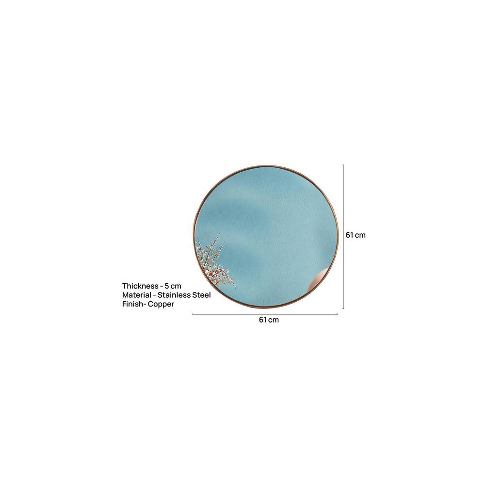 Modern Copper Stainless Mirror