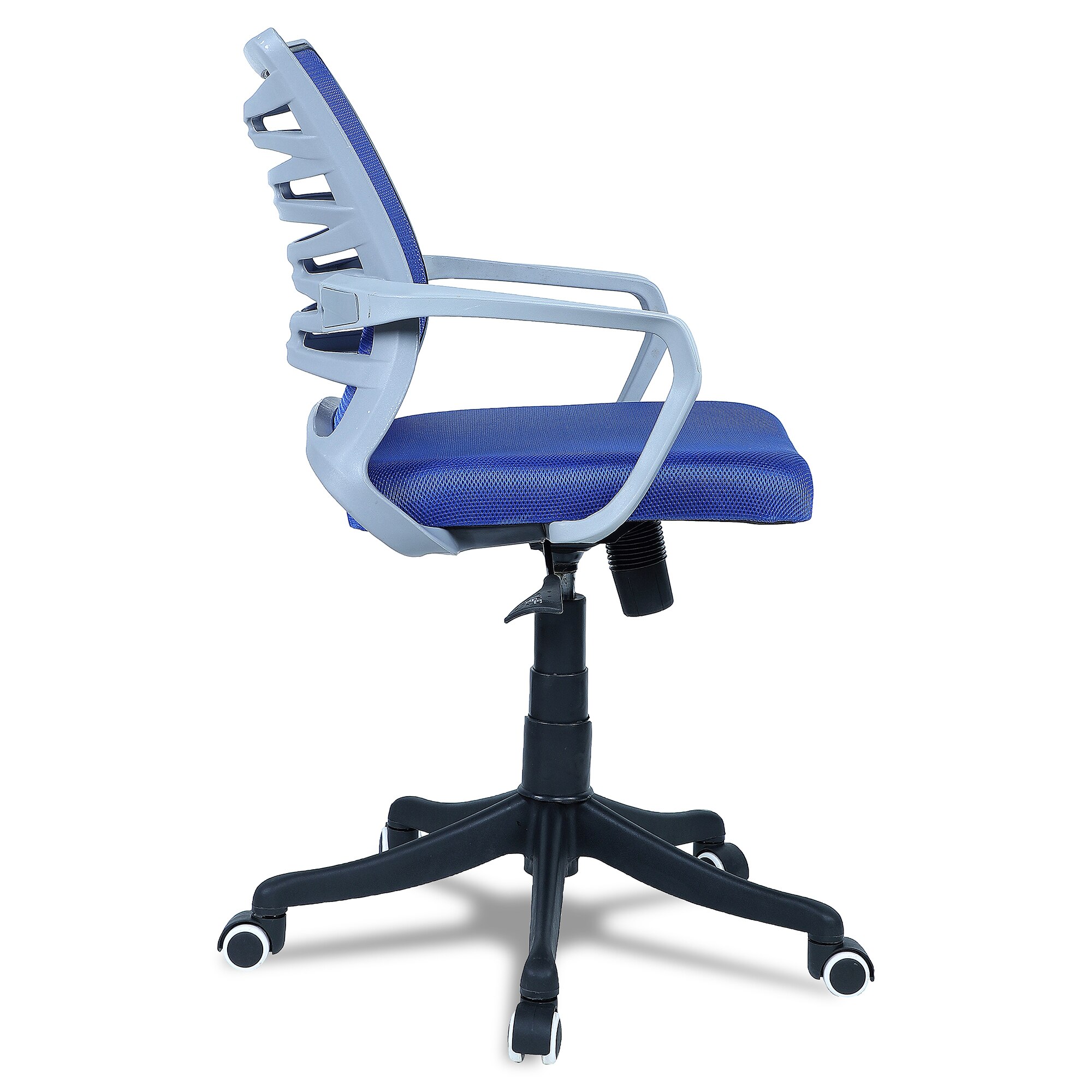 Xxeana Mid Back Ergonomic Chair in Blue Colour