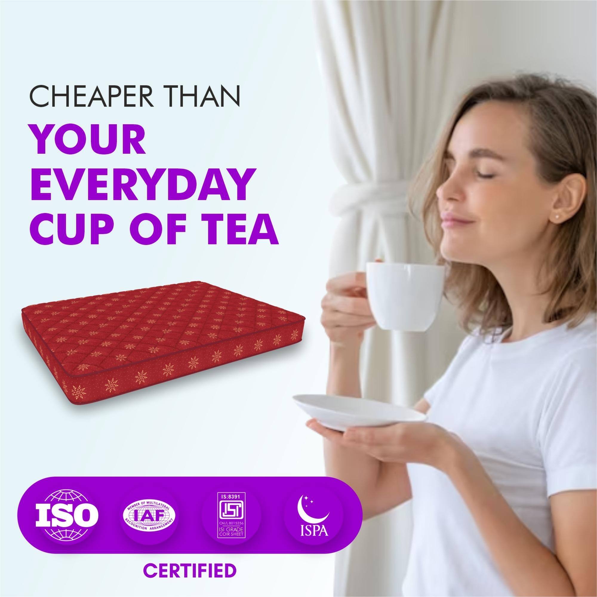 Soft Bounce Herb Fresh Technology | Back Care | Direct from Factory Queen Size Mattress (84 x 66 in, 6 Inches)