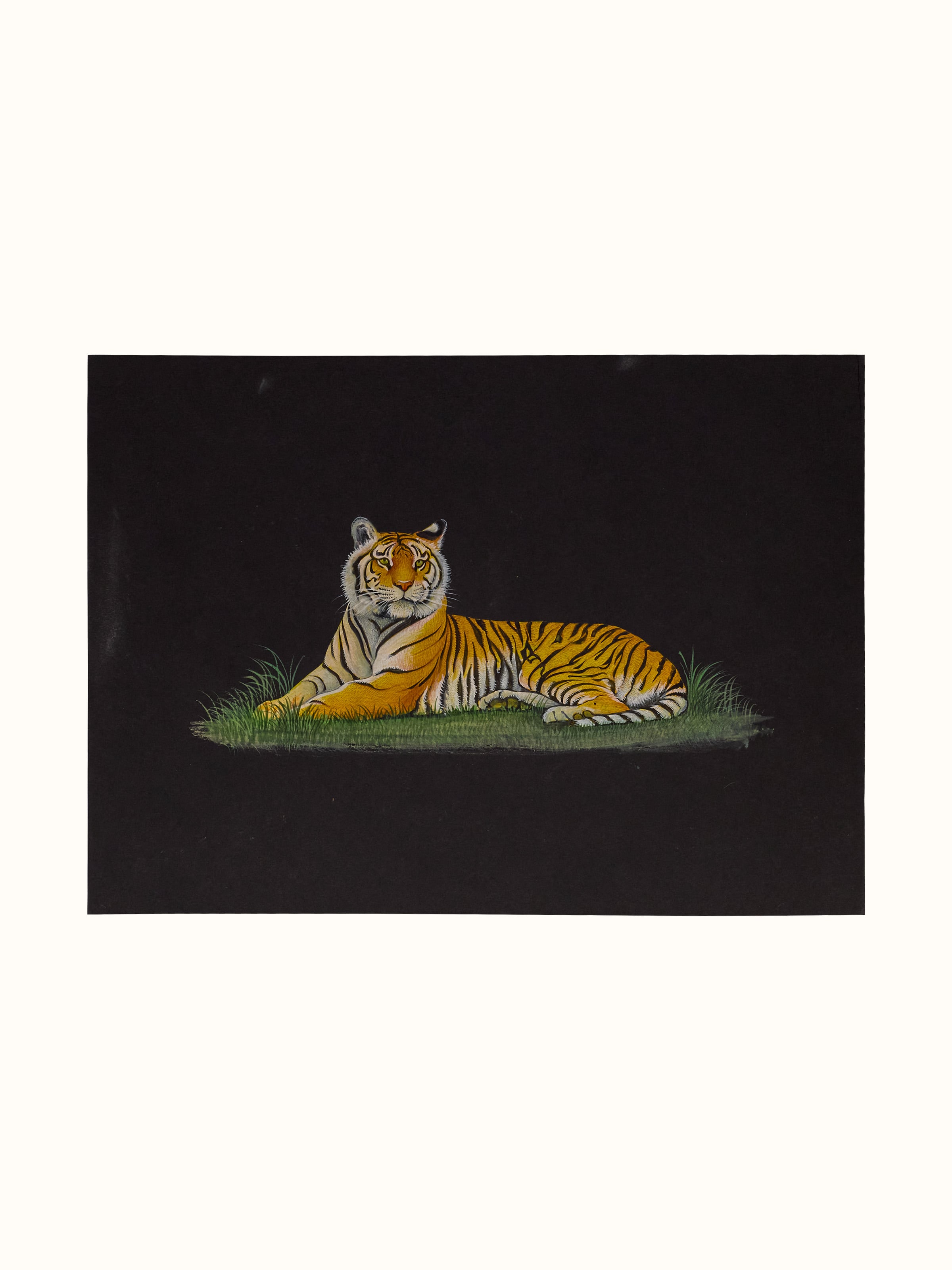 Tiger Miniature Painting