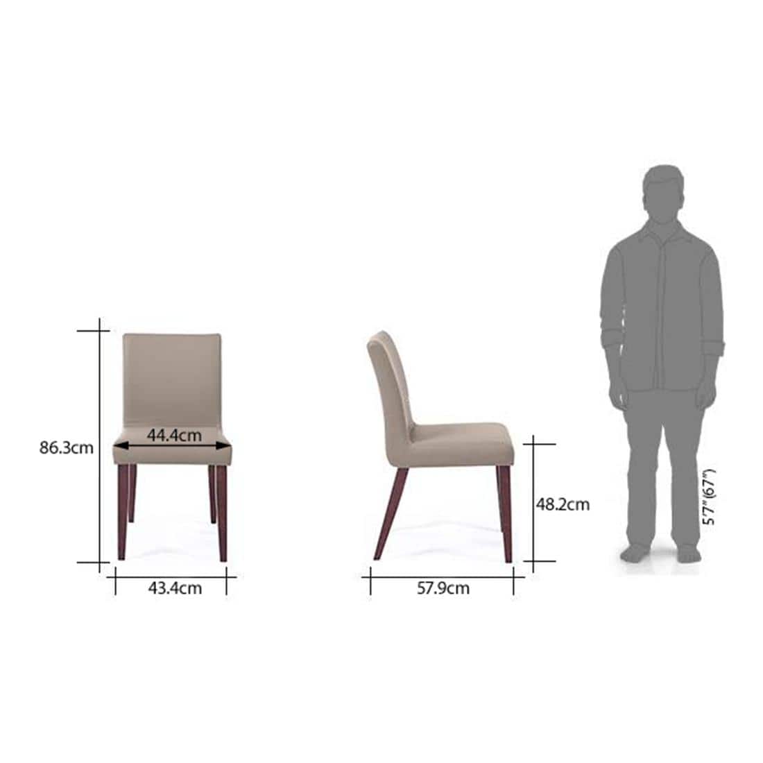 Matteo Engineered Wood 6 Seater Dining Table With Set Of 6 Persica Dining Chairs (Finish- Dark Walnut)