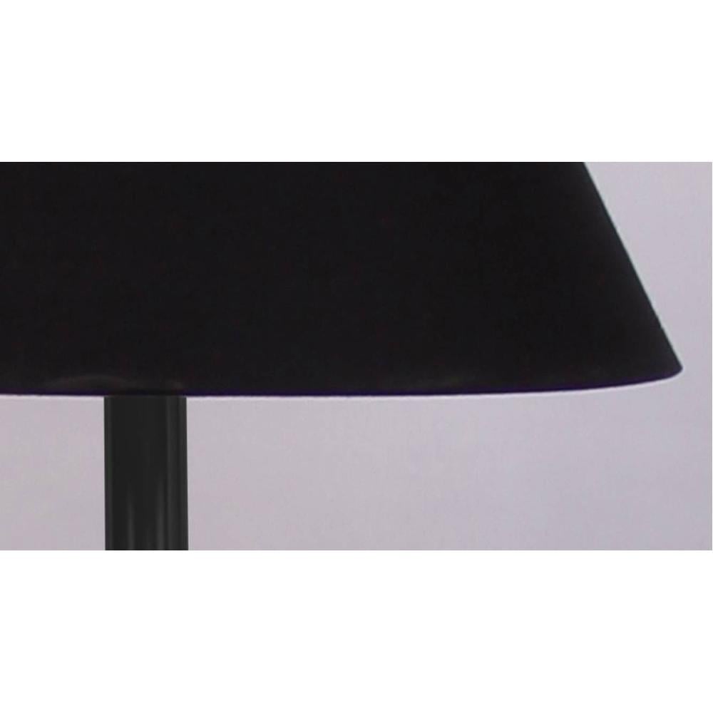 Vihaan Black Fabric Shade Floor Lamp with Black Iron Base