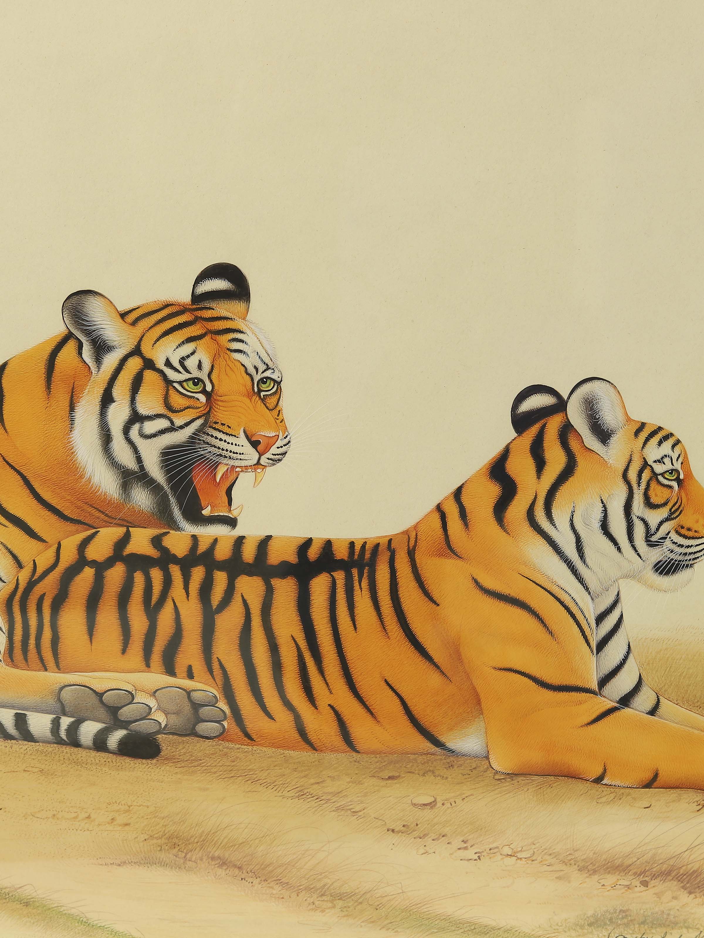 Tiger Miniature Painting