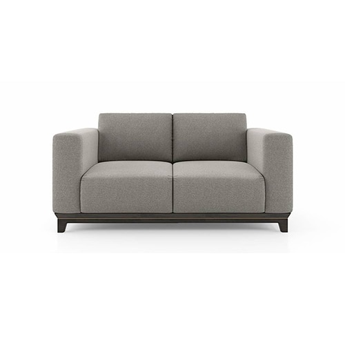 Taarkashi 2 Seater Fabric Sofa in Gainsboro Grey Colour