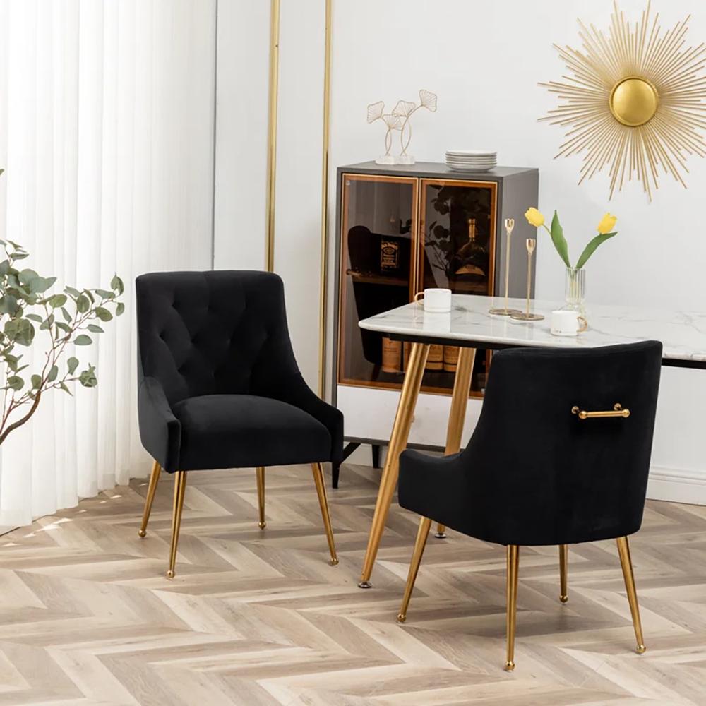 Asul Solid Wood Accent Chair in Black Colour