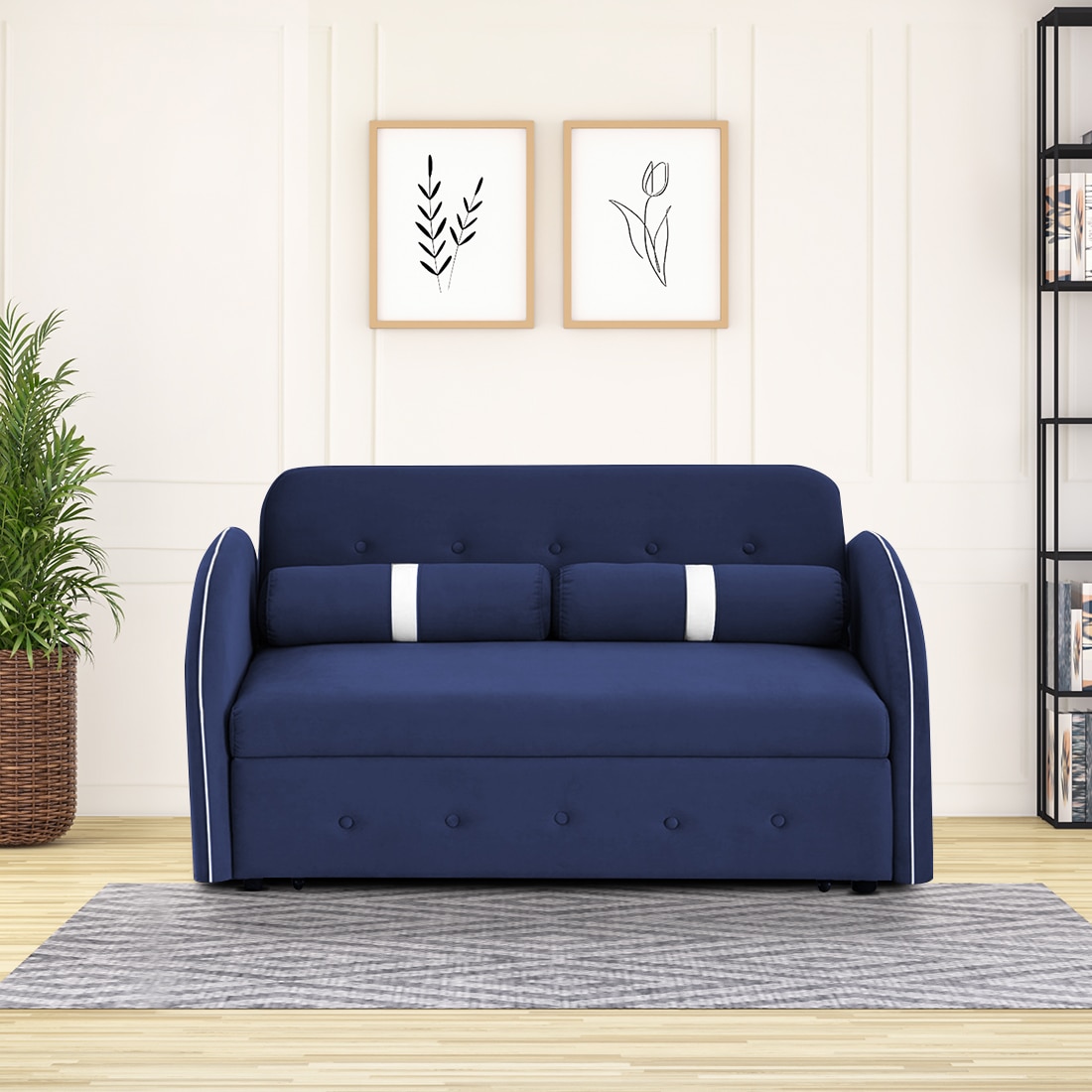 Jayen 3 Seater Pull Out Sofa cum Bed  in Navy Blue Colour - Home Lifestylez