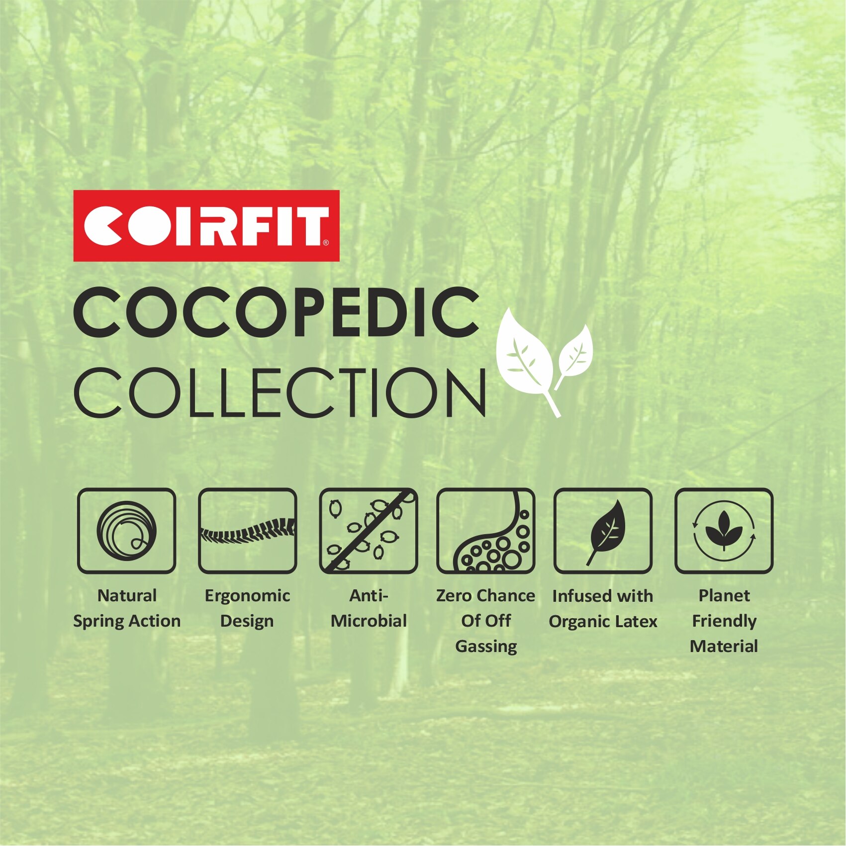 Day Dream with 36 YEARS OF TRUST 5 Inch Queen Size Coir Foam Mattress(72X60 Inches), Double-Sided PU Foam Quilt  Durable & Lightweight