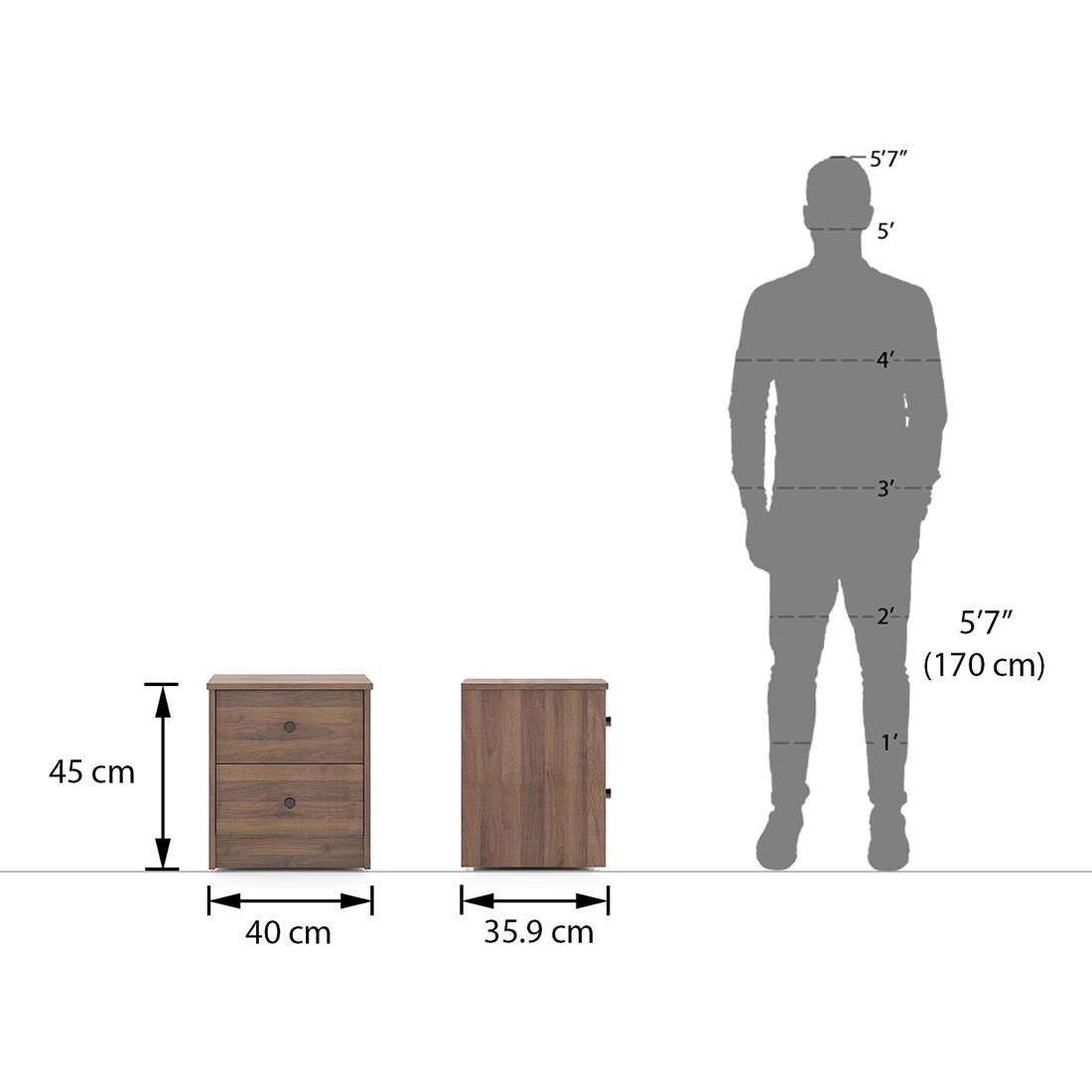 Hazel Engineered Wood Bedside Table in Classic Walnut Finish