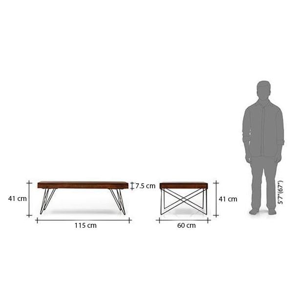Dyson Rectangular Metal Coffee Table In Walnut Finish