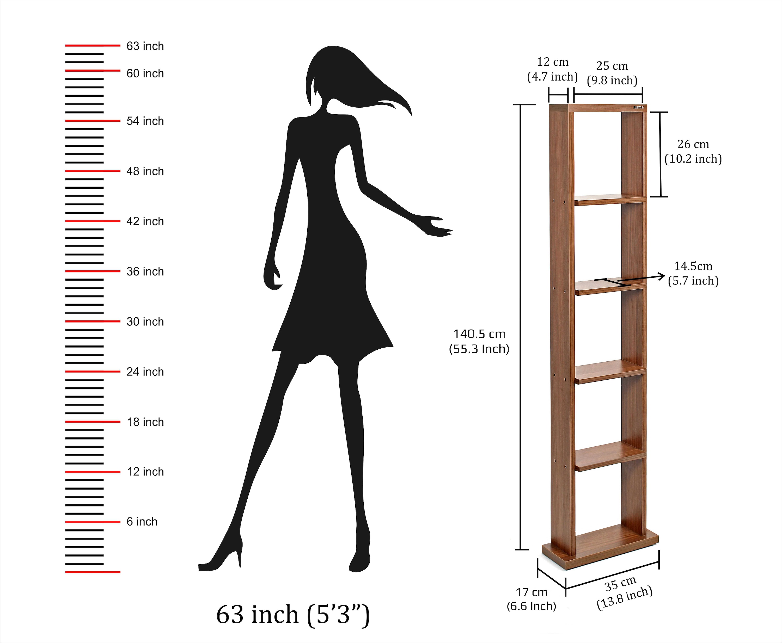 BLUEWUD Walten Engineered Wood Bookshelf Cabinet Book Rack Organizer with Shelves for D�cor Display Floor Standing for Home Library Furniture (Walnut)